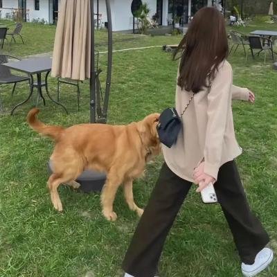情欲纽约